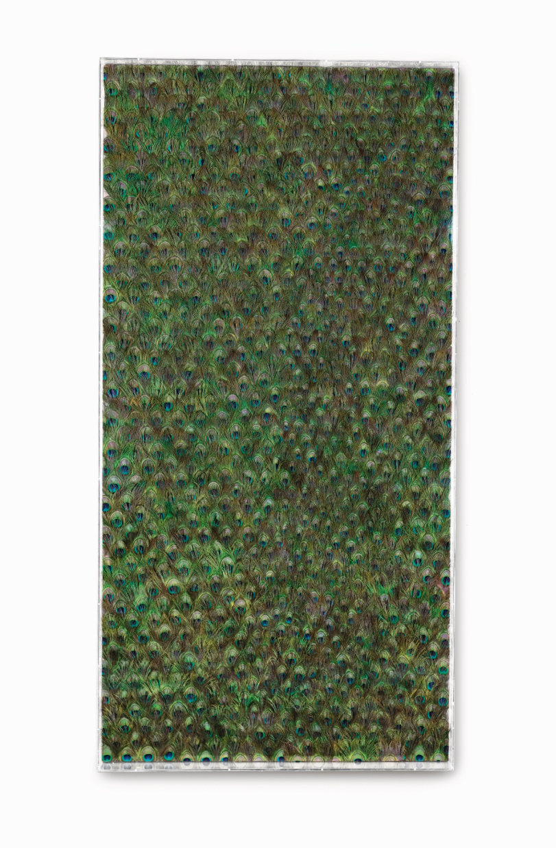 Carol Bove, Untitled