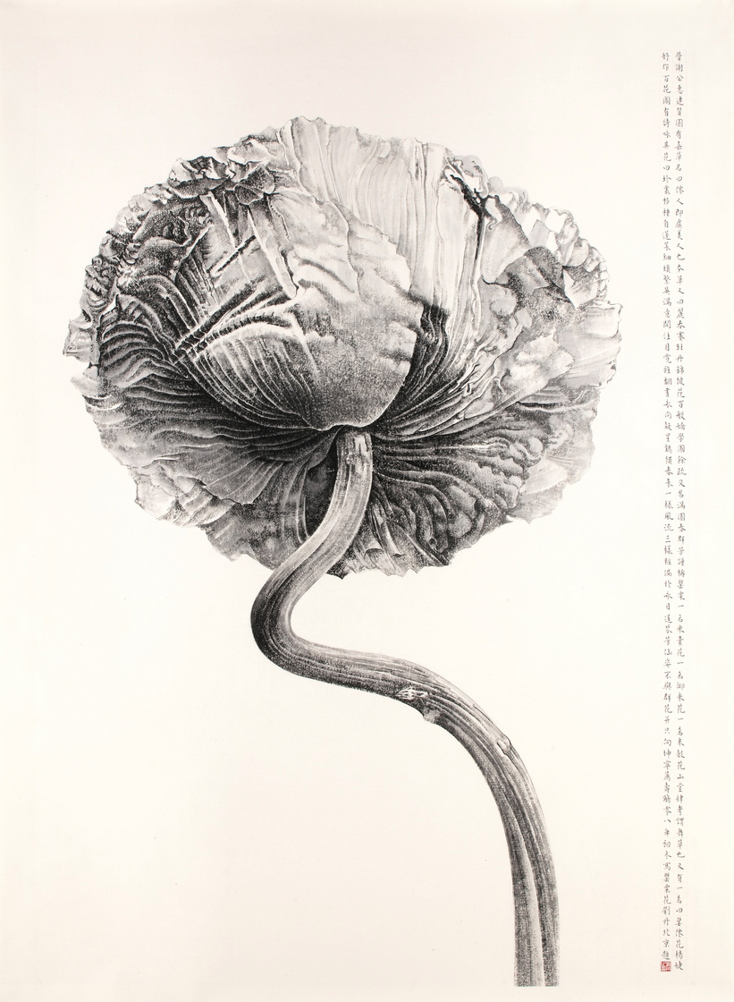 Liu Dan, Poppy