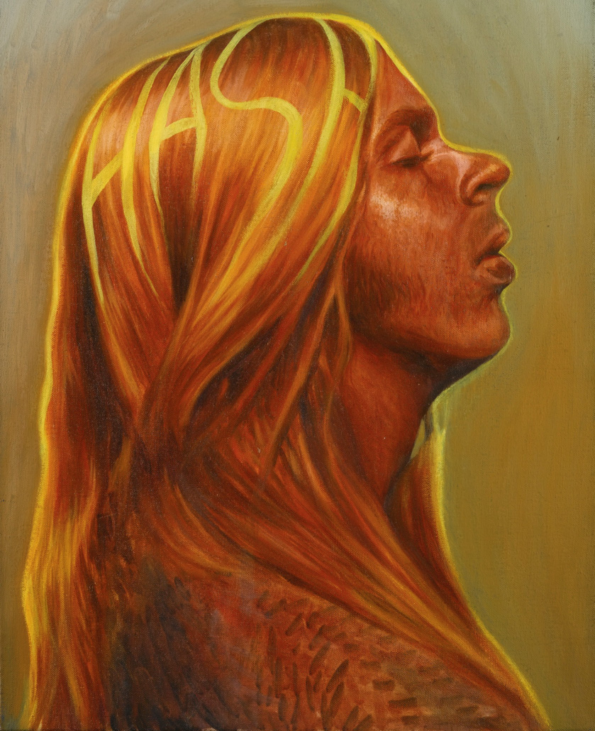Steven Shearer, HASH
