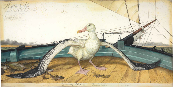 Walton Ford, Bitter Gulfs