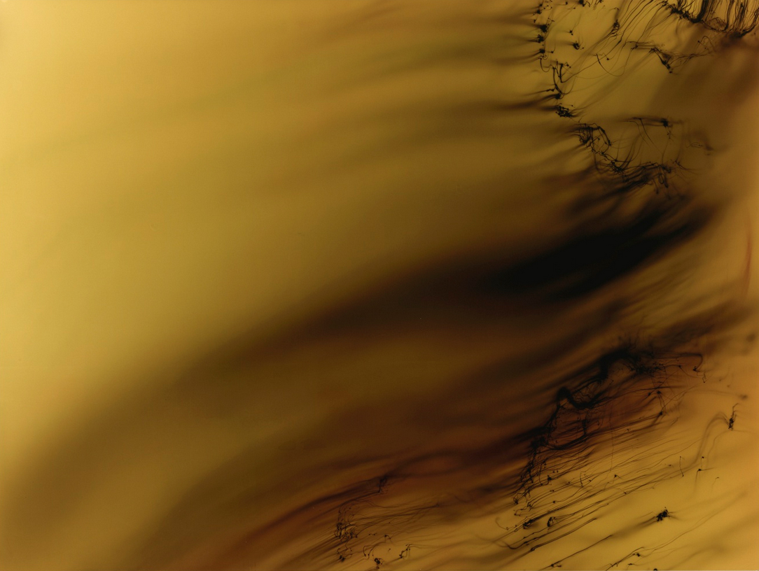 Wolfgang Tillmans, Freischwimmer 119